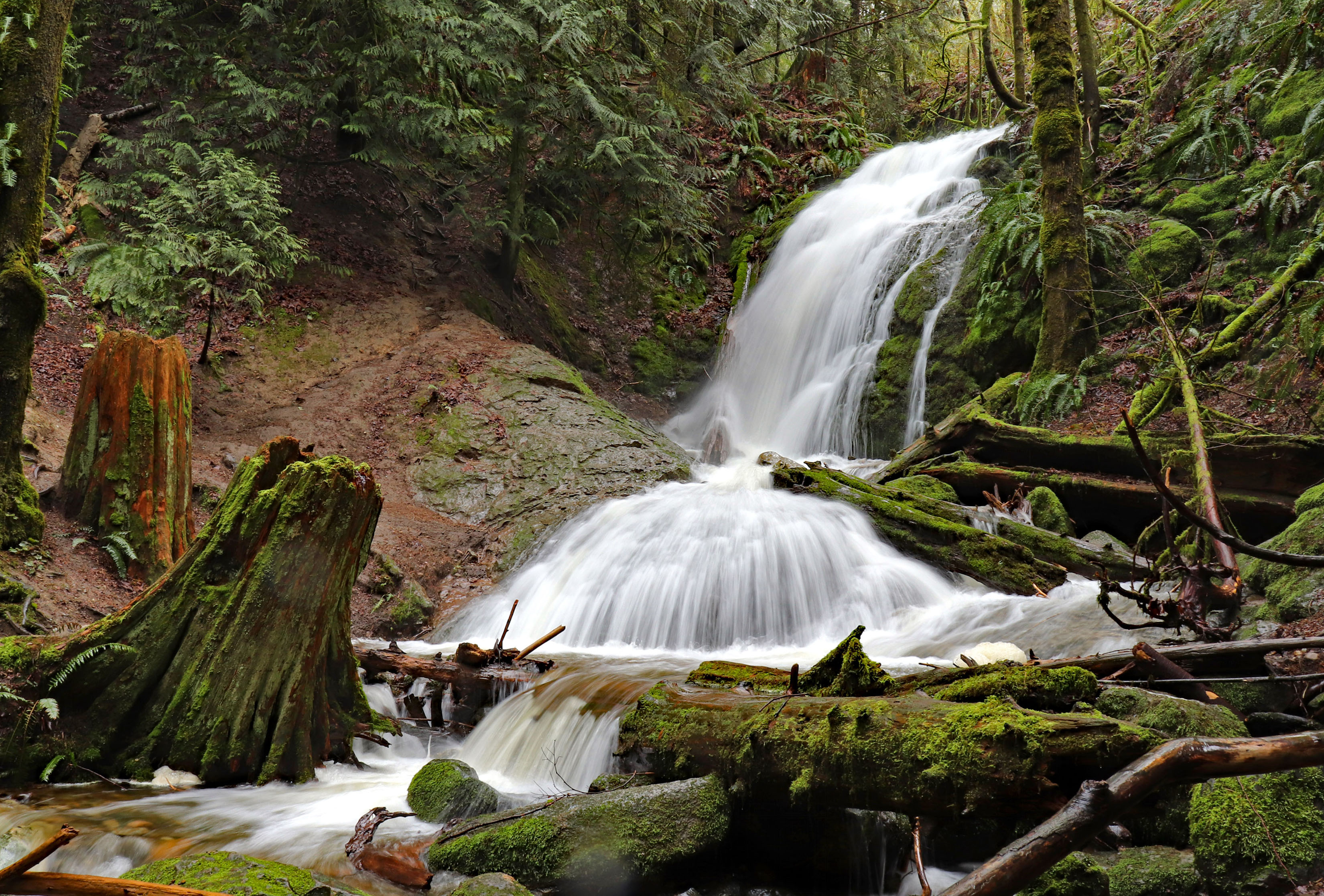 Coal Creek Falls, Deceiver — Washington Trails Association